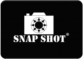 Snapshot Safety Assessment